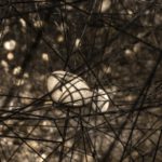 Chiharu Shiota -  In the beginning was... Planta-Fundació Sorigué