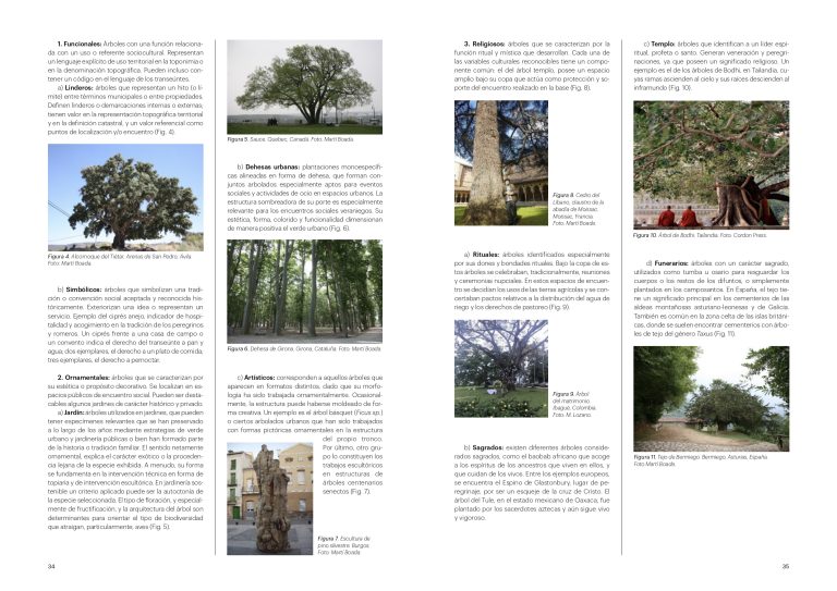 El moble de fusta. Les fustes del moble. Martí Boada